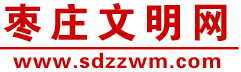 棗莊文明網
